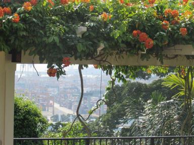 flowers&containers