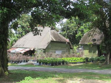 tree&houses
