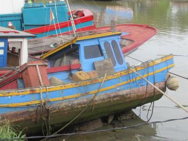 boats