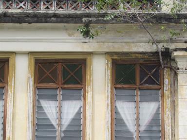 windowgreenery