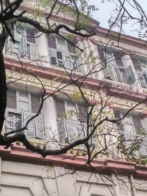 shutters