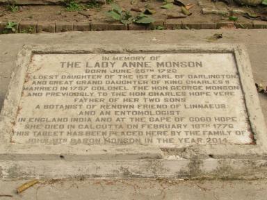 ladymonson