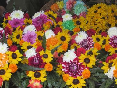 flowers