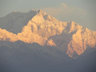 fromdarjeeling