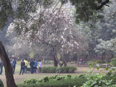 park
