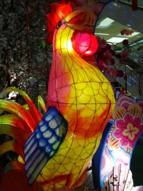 rooster1