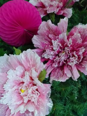 paperflowers