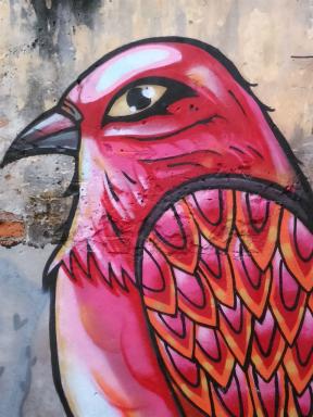 bird