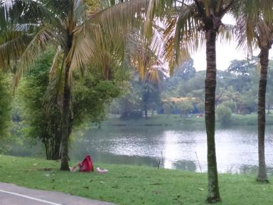 tamanjaya