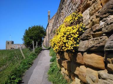 lane&church