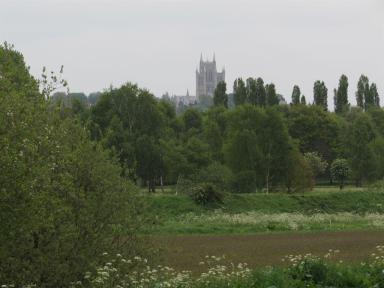 towers