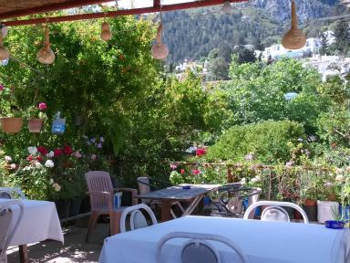 cafe