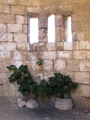 niche