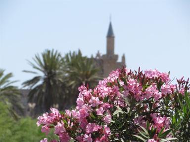 flowers&minaret