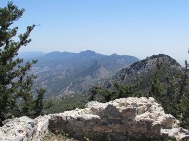 view