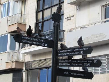 signpost