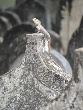 lizardongravestone