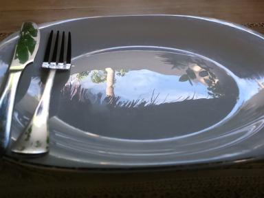 plate