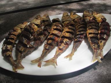 crispyfish