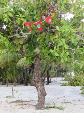 flagandtree
