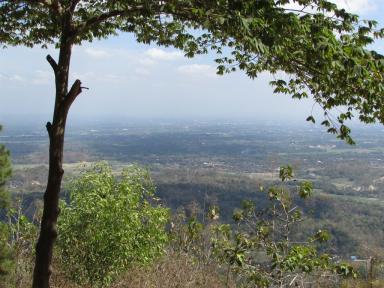 view