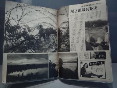 japanesenews