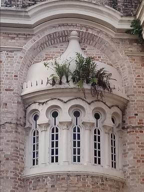 window