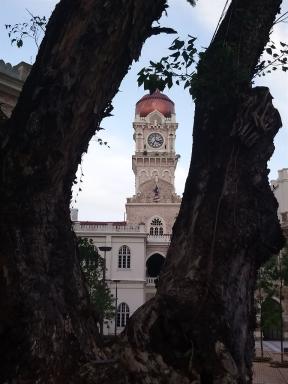 tower&tree