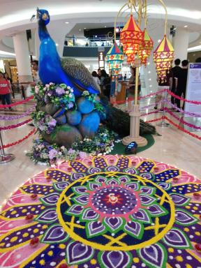 peacock