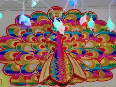 condopeacock