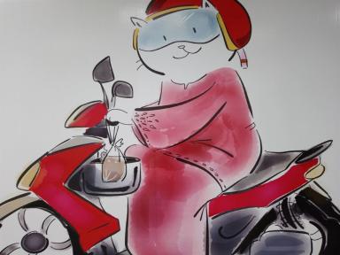 catonbike