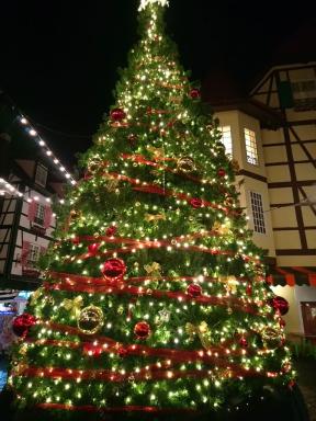 tree