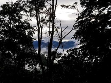 darkview