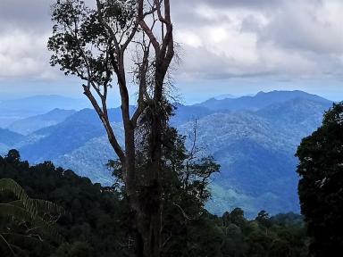 megaview