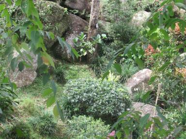 japanesegarden2