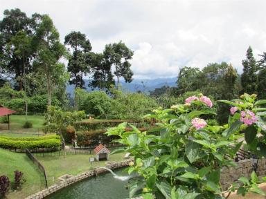 view2