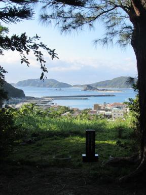 view