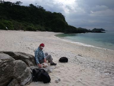 picnic