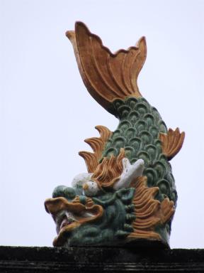 fish