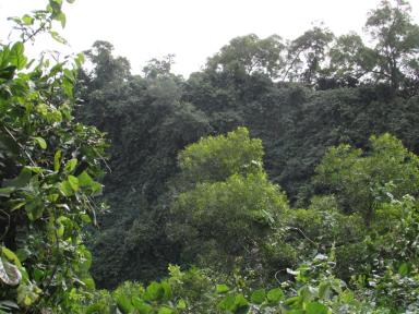 caldera1