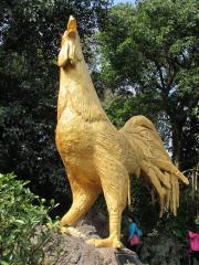 127037