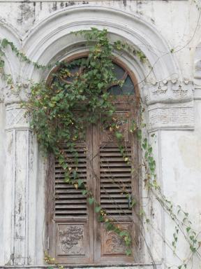 window2