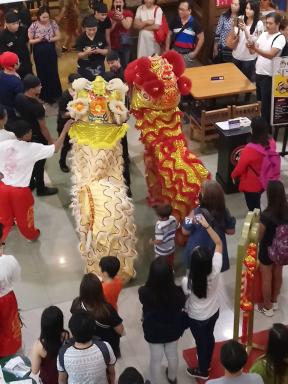 lionsinmall