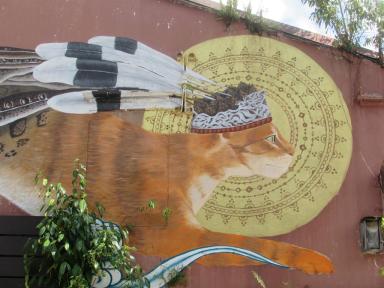 catmural