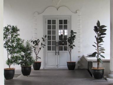 doors