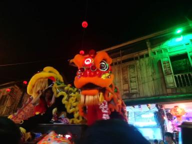 lion