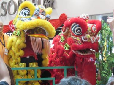 lions