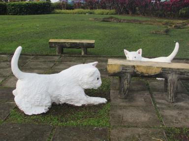 parkcats