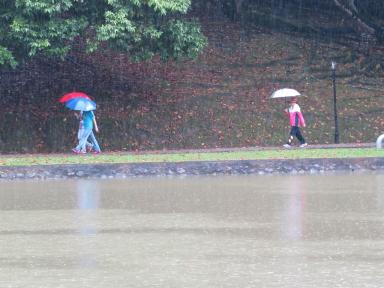 rain