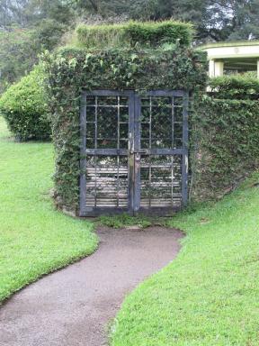 doorinbush
